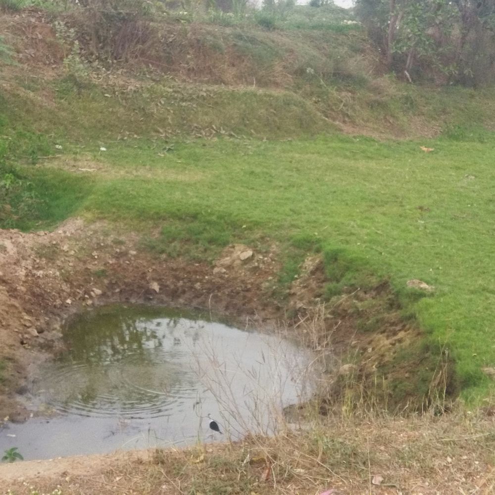 ખેડૂતોની માંગ:મોડાસા, બાયડ અને માલપુર પંથકના વાંઘા, ચેકડેમોની સફાઈ કરો