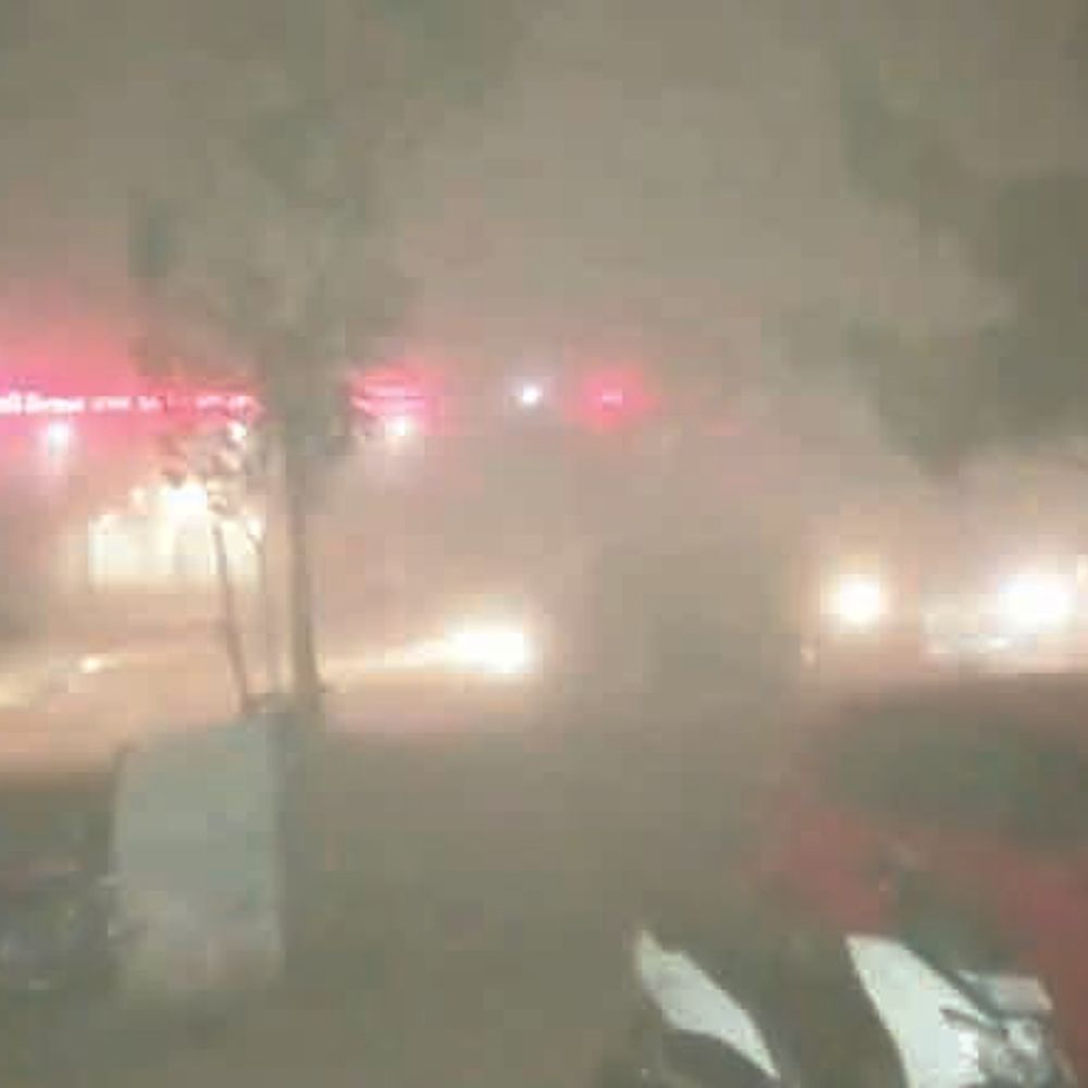 કેરીના ઉત્પાદનમાં 30 ટકાનો ઘટાડો થવાની શક્યતા‎:નવસારીમાં 50 કિમી ઝડપે પવન  ફૂંકાયો, ઠેર ઠેર વીજળી ડૂલ,  કેરી અને ચીકુમાં નુકસાનની ભીતિ