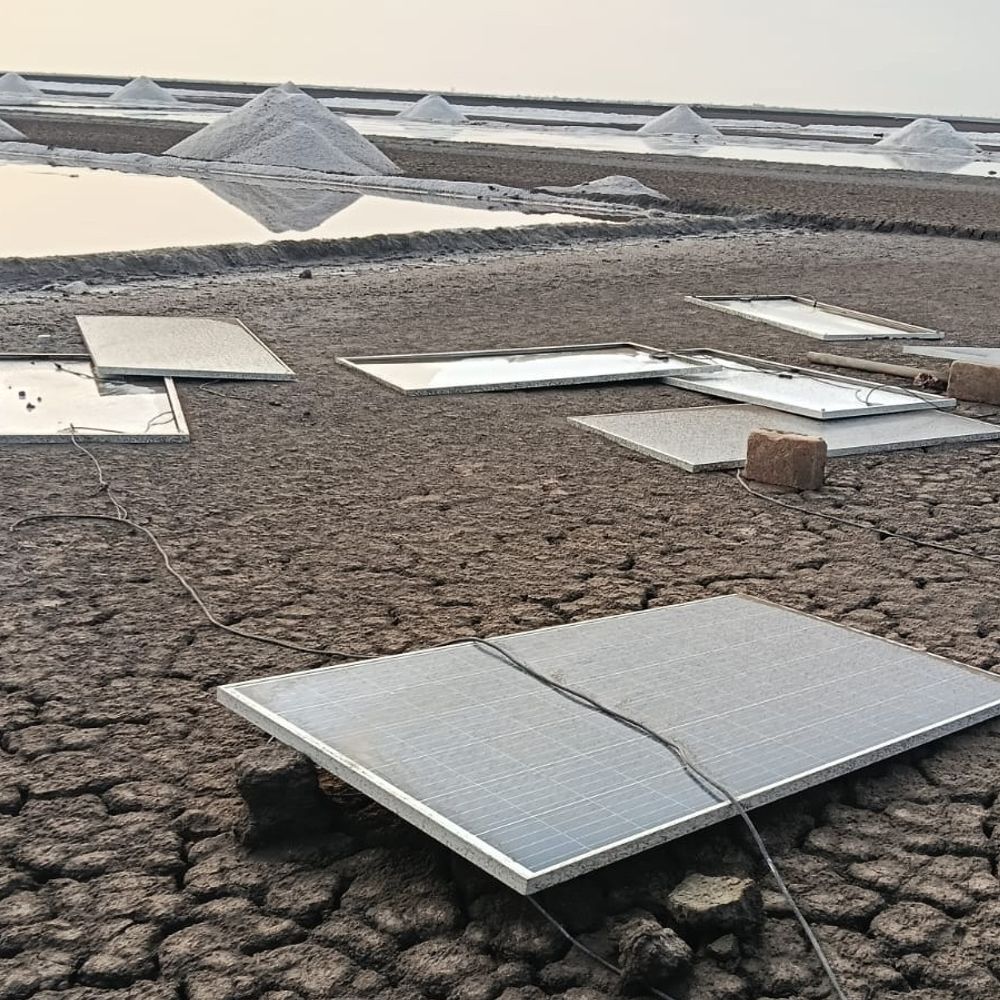 ઇતિહાસમાં પ્રથમવાર રણના અગરિયાઓના નુકસાનનો સરકારી સર્વે થશે:MLA પી.કે. પરમારની જાહેરાત; જિ.ઉદ્યોગ કેન્દ્રનો સ્ટાફ આવતીકાલથી ઝૂંપડે-ઝૂંપડે જઈ રિપોર્ટ બનાવશે, 20 કરોડનું નુકસાન થયું હોવાનો અંદાજ