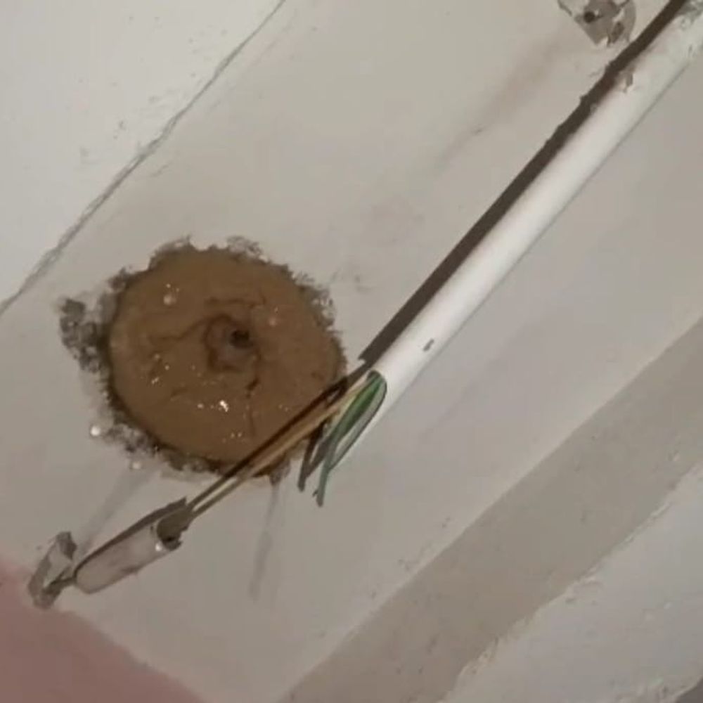 જામજોધપુરમાં વીજળી પડતા માલધારીનું મૃત્યુ:કાલાવડમાં ખેડૂતના મકાન પર વીજળી ત્રાટકી, પરિવારનો આબાદ બચાવ