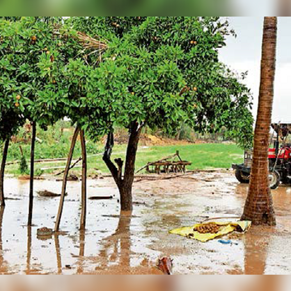 મીની વાવાઝોડાથી ખેડૂતો ચિંતિત: કચ્છમાં આજે પણ ઓરેન્જ એલર્ટ, 70 કિમીની ઝડપે પવન ફૂંકાવાની આગાહી.