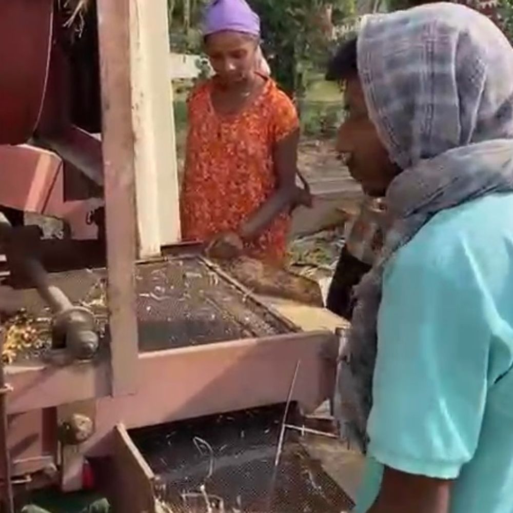 દક્ષિણ ગુજરાતમાં મિની વાવાઝોડાએ તારાજી સર્જી:સુરત, નવસારી અને ડાંગમાં ખેતી પાકોને વ્યાપક નુકસાન, ખેડૂતોની સર્વે માટે માંગ