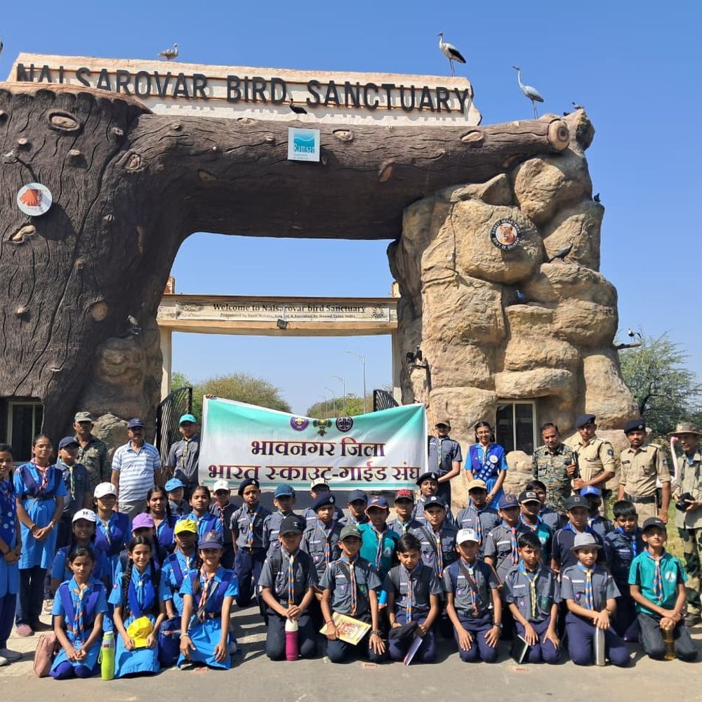 નળસરોવરમાં ભાવનગરના સ્કાઉટ-ગાઈડની પ્રકૃતિ પાઠશાળા:યાયાવર પક્ષીઓની દુનિયા અને વન કેડી ભ્રમણનો વિદ્યાર્થીઓએ માણ્યો અદભૂત લ્હાવો
