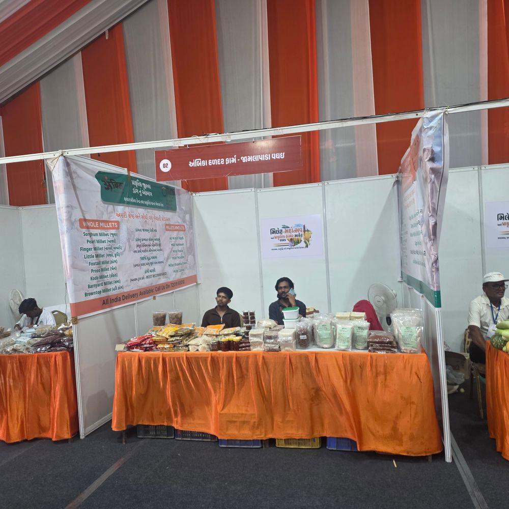 નવસારીમાં બે દિવસીય મિલેટ મહોત્સવનો પ્રારંભ:મંત્રી નરેશ પટેલે ઉદ્ઘાટન કર્યું, 'શ્રી અન્ન' વૈશ્વિક ઓળખ બન્યું