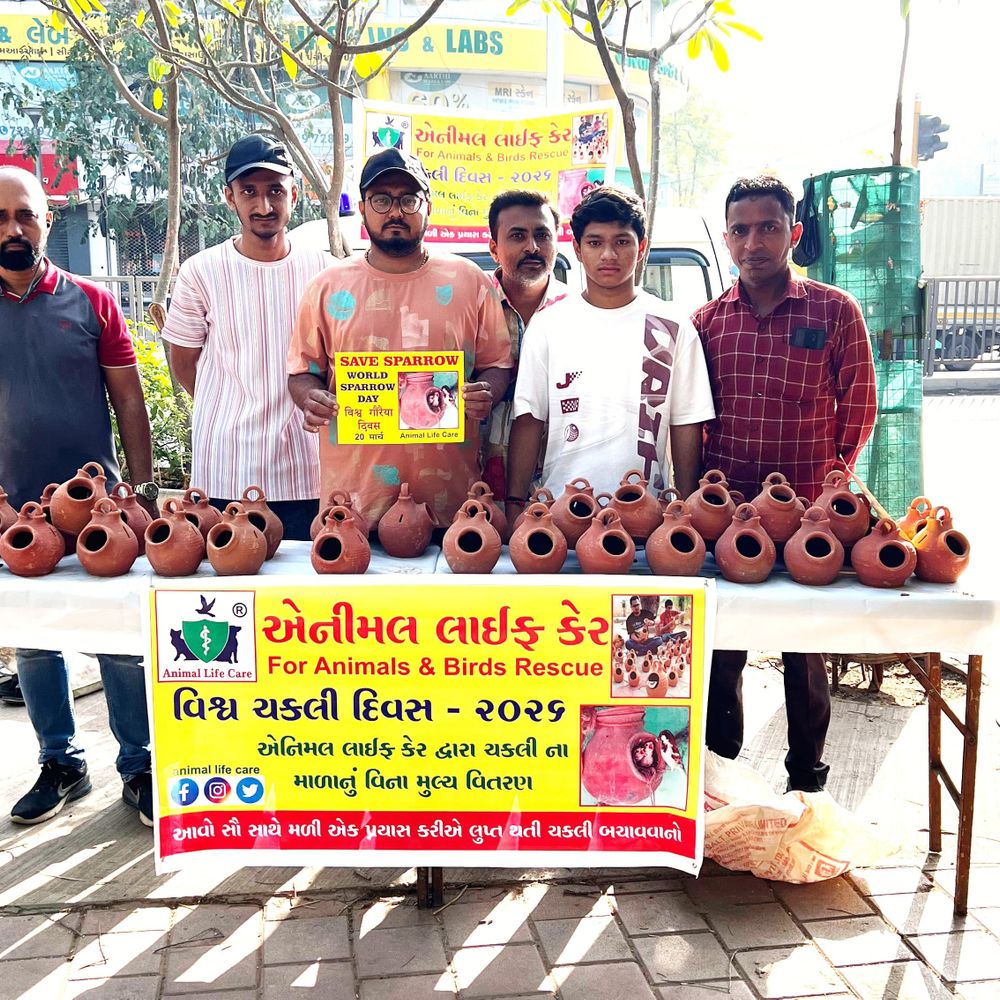 એનિમલ લાઈફ કેર દ્વારા ચકલીના માળાનું વિતરણ:પરિમલ ગાર્ડન, ગુજરાત વિદ્યાપીઠ અને શહેર વિસ્તારોમાં મફત વિતરણ કરાયું