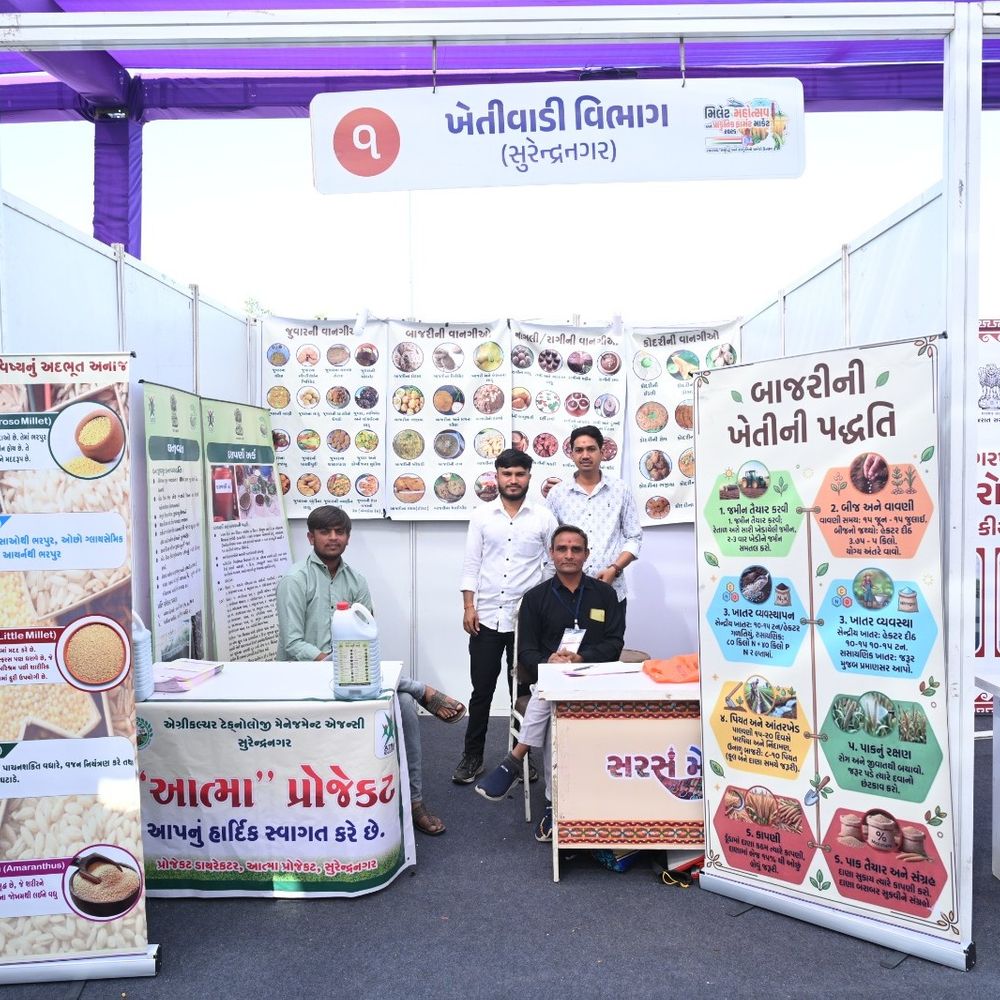 સુરેન્દ્રનગરમાં મિલેટ મહોત્સવ અને પ્રાકૃતિક ફાર્મર માર્કેટ:20થી વધુ સ્ટોલ્સ દ્વારા મિલેટ વાનગીઓ અને ઉત્પાદનોનું પ્રદર્શન