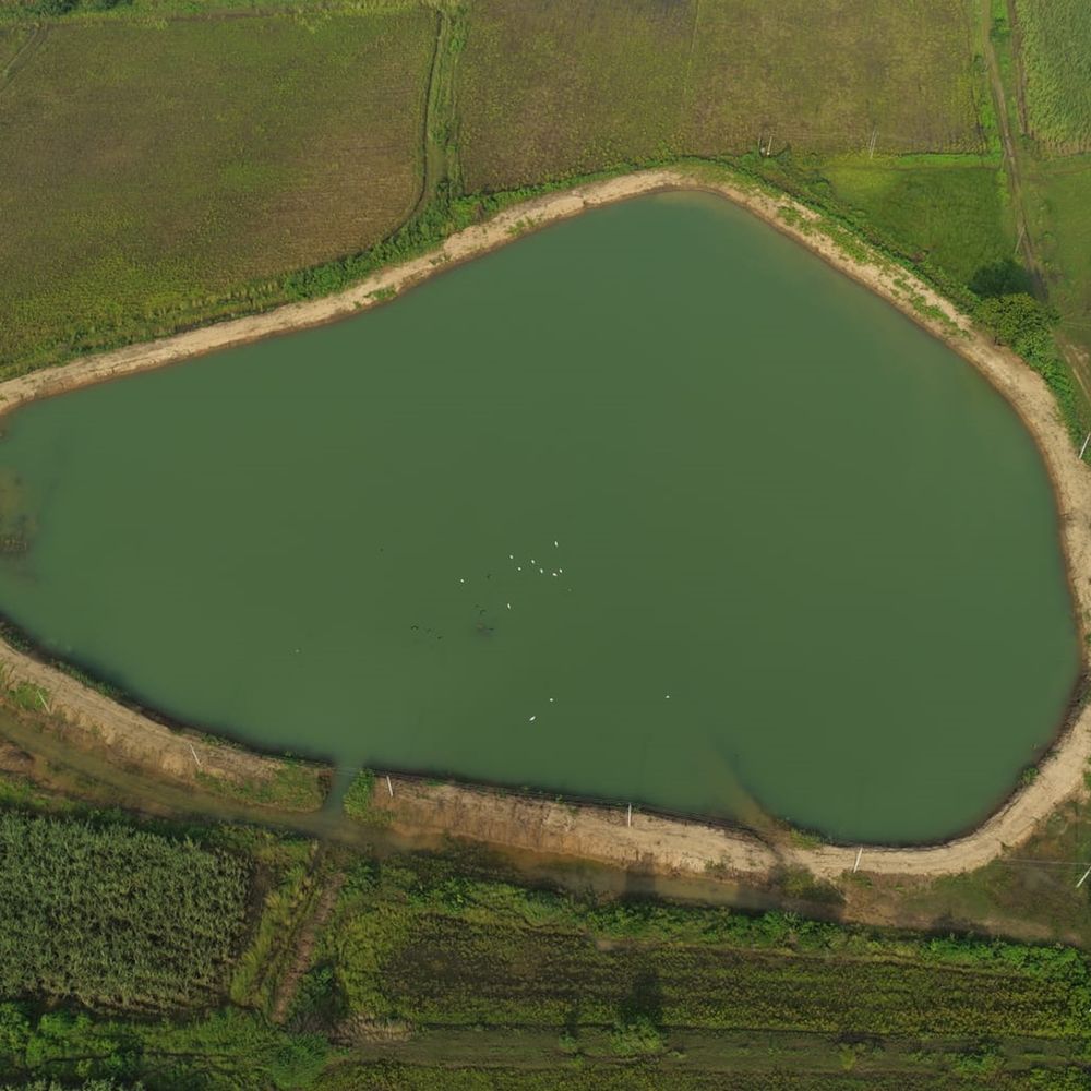 વિશ્વ જળ દિવસ: નર્મદામાં 16 તળાવના નવીનીકરણથી 3.27 લાખ કિલોલિટર પાણી સંગ્રહ ક્ષમતામાં વધારો થયો.