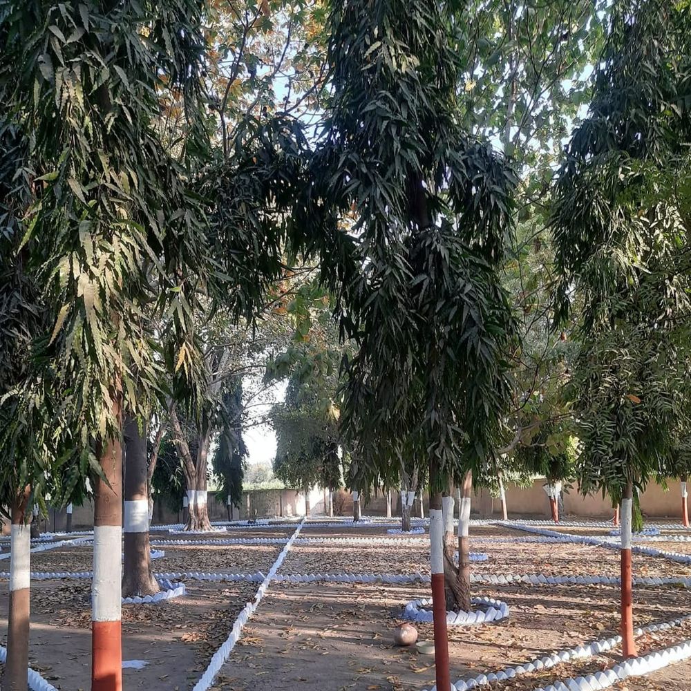 32 વર્ષથી જનસેવા, 1 લાખથી વધુ વૃક્ષોનું વિતરણ, અને મુક્તિધામમાં ઔષધીય ઉપવનનું નિર્માણ.