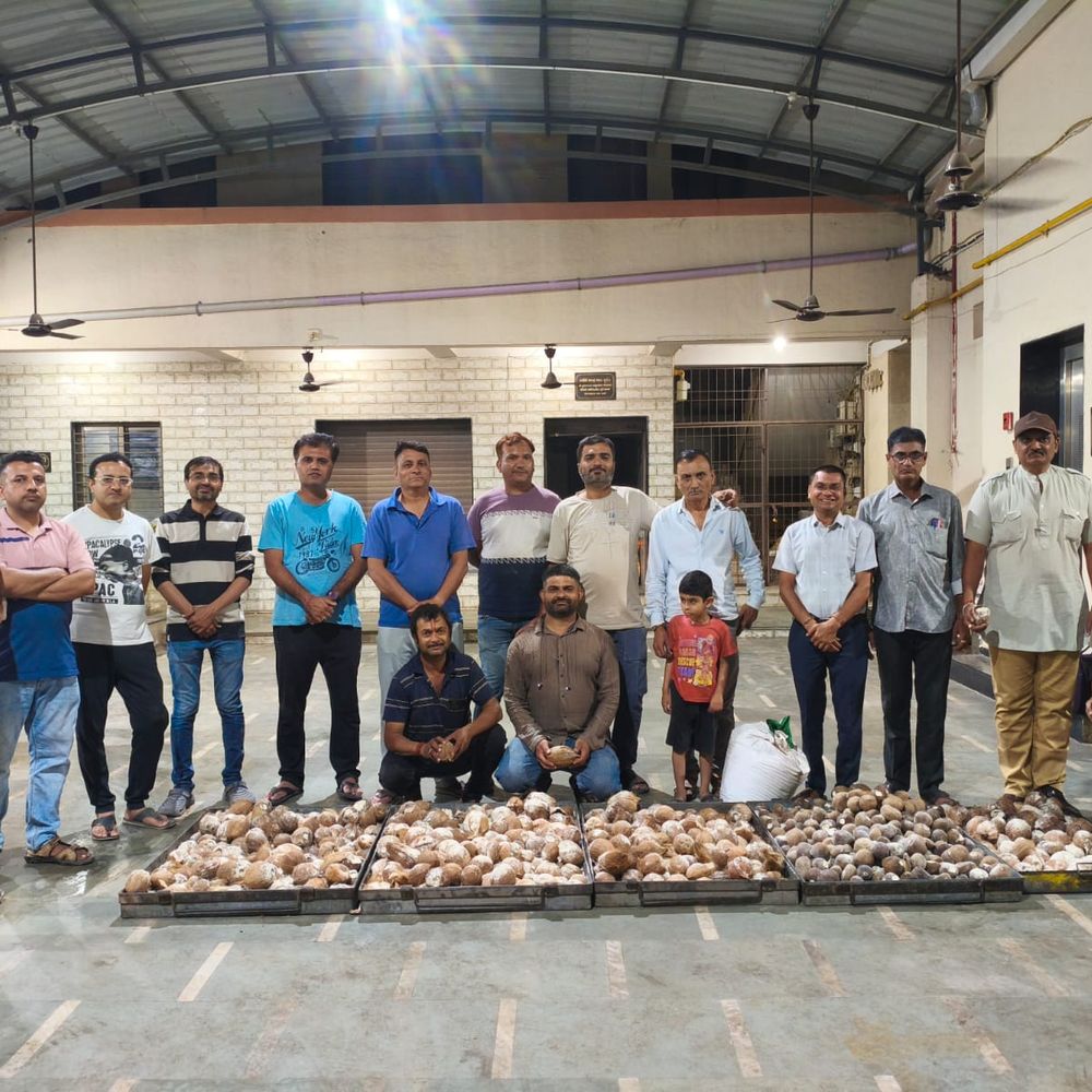 આમકુના જંગલોમાં જીવદયાનું અનોખું અભિયાન:ગિરનારી ગ્રુપ દ્વારા પ્રકૃતિ સંરક્ષણ હેતુથી નવરાત્રિએ 1100 નાળિયેરનું કિડીયારુ પૂર્યું