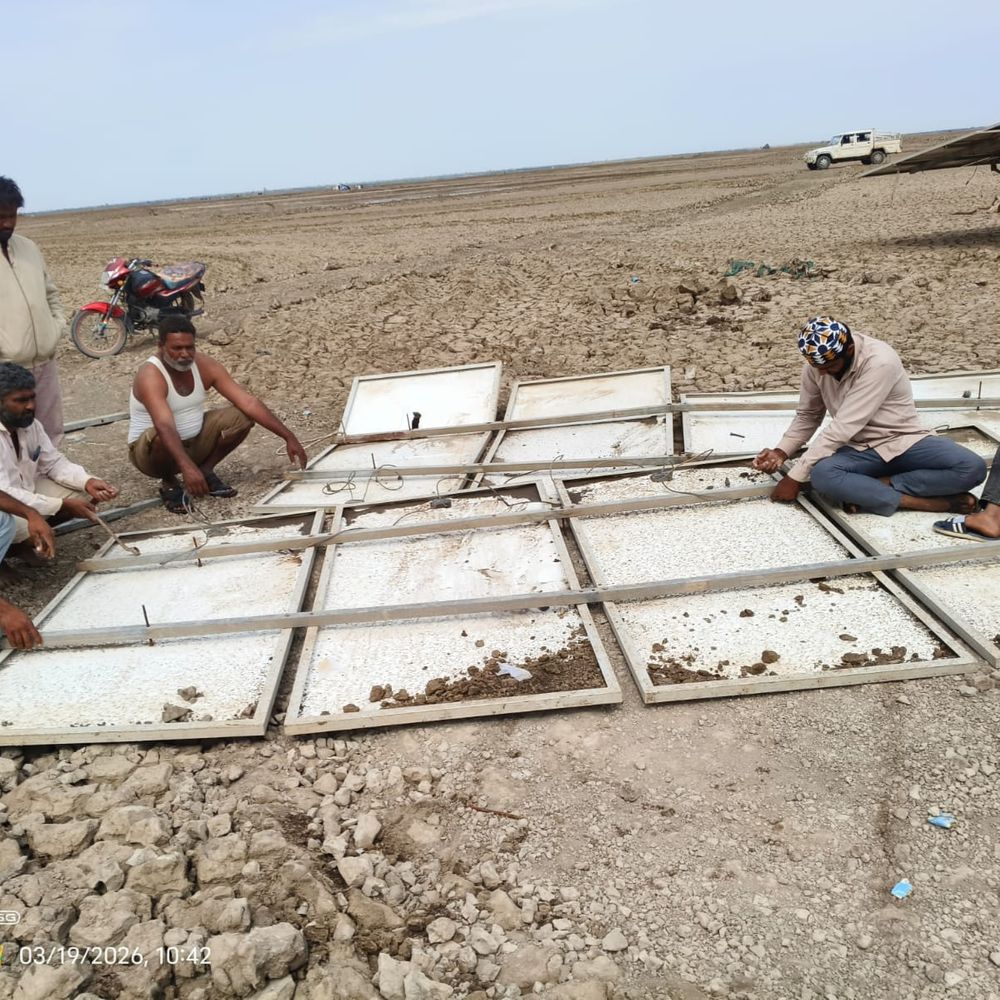 સોલર પમ્પિંગ સિસ્ટમો નષ્ટ થતા 300 પરિવારોને નુકસાન:સોલર પમ્પિંગ સિસ્ટમો નષ્ટ થતા અને તૈયાર થયેલું મીઠું રણની માટીમાં ભળી જતાં 300થી વધુ પરિવારોને નુકસાન