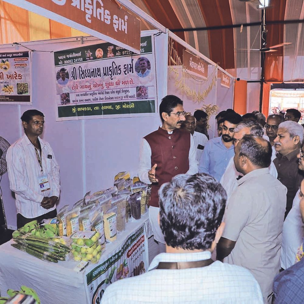 મોરબીમાં પૌષ્ટિક આહાર અને પ્રાકૃતિક ખેતી જાગૃતિ માટે મિલેટ મહોત્સવ અને FARMER MARKETનો પ્રારંભ.