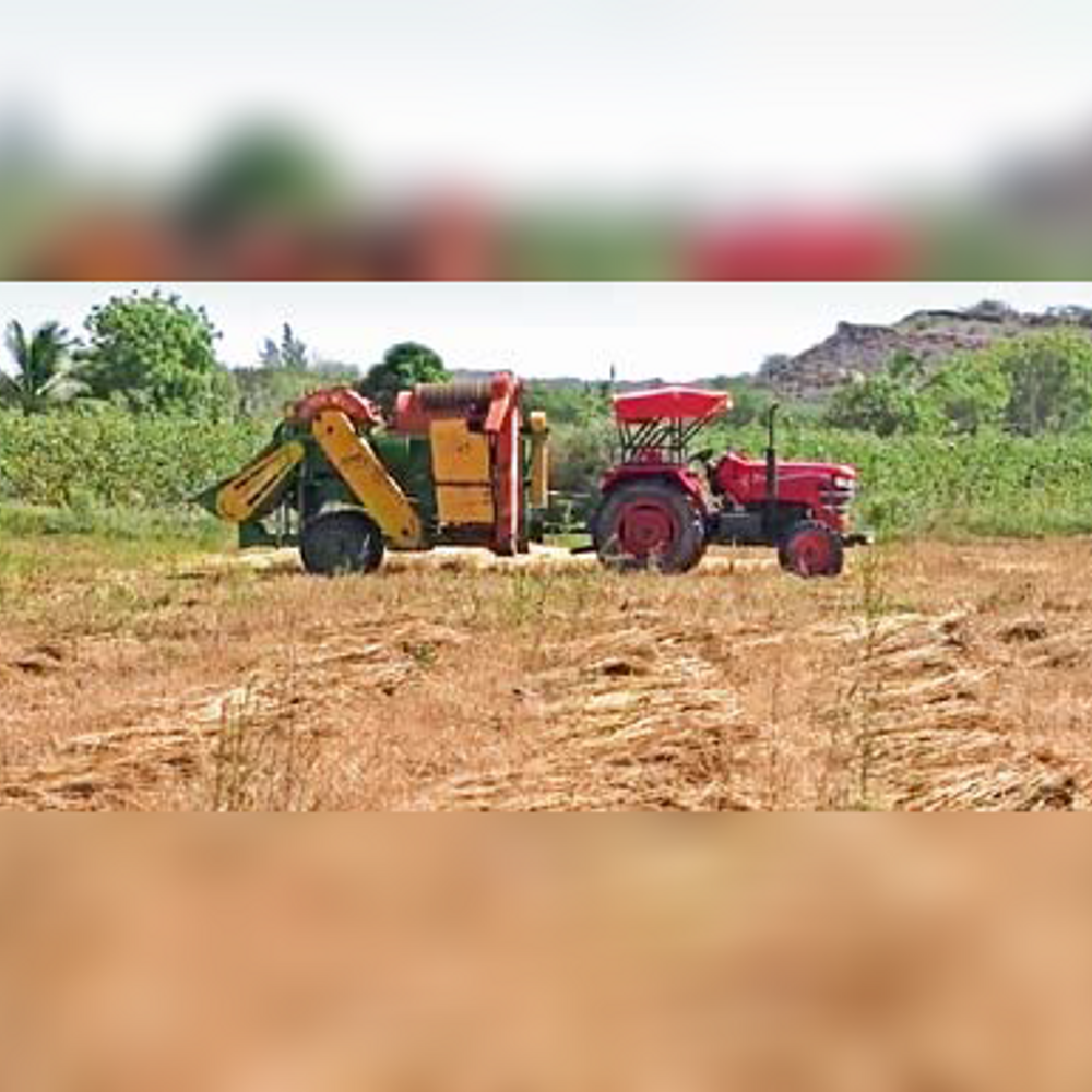 આહિરપટ્ટીમાં વરસાદથી ઘઉં, જીરું અને કેસર કેરીને નુકસાન: ખેડૂતોની ચિંતા વધી.