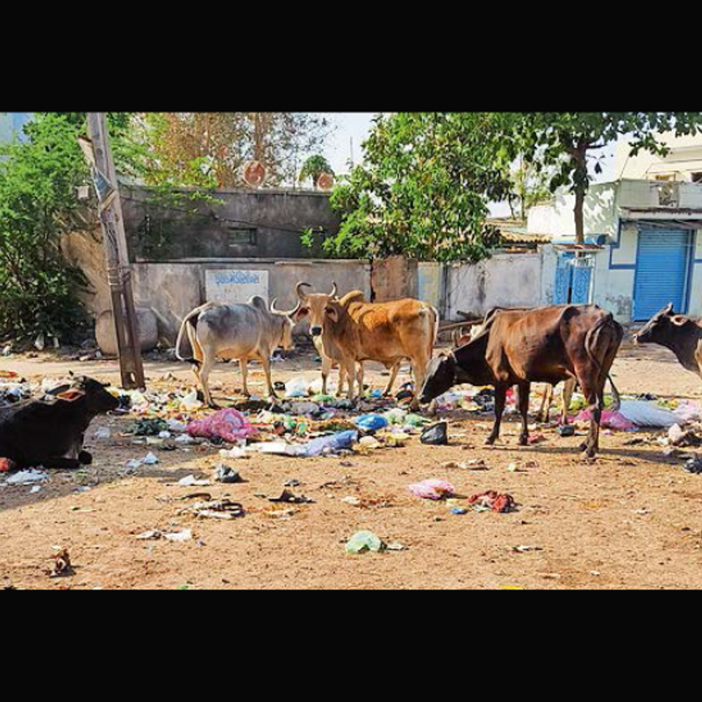 ભુજમાં લાખોના ખર્ચે બનેલા અર્બન હેલ્થ સેન્ટર બહાર ગંદકીનું સામ્રાજ્ય, તંત્રની ઉદાસીનતા.