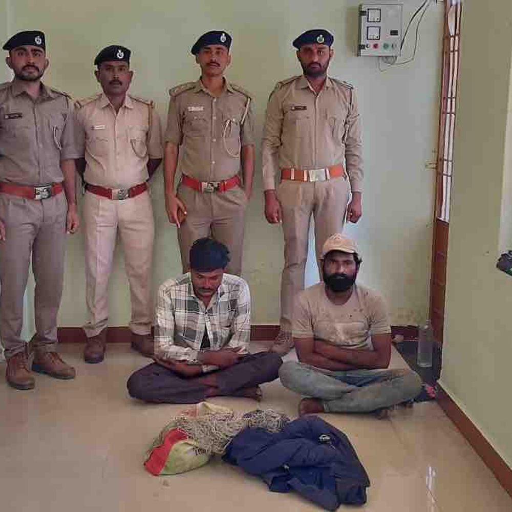 સસલાનો શિકાર કરતા 2 ઝડપાયા, ₹25,000 દંડ:અમરેલીના ખાંભા તુલસીશ્યામ રેન્જમાં વનવિભાગની કાર્યવાહી