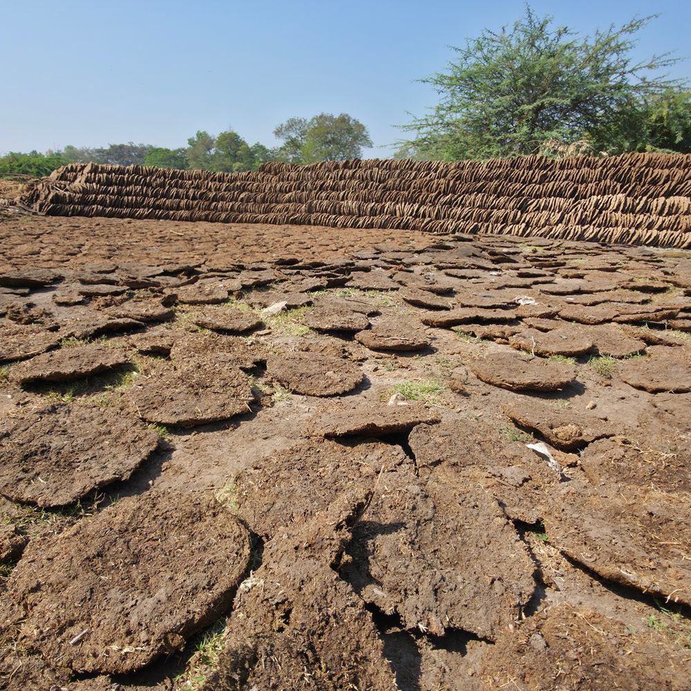 ભાસ્કર ગ્રાઉન્ડ રિપોર્ટ:ઊનાળામાં 1500 કિલો લાકડા માંડ વપરાતા હાલ દૈનિક 10,000 કિલોએ પહોંચી ગયા