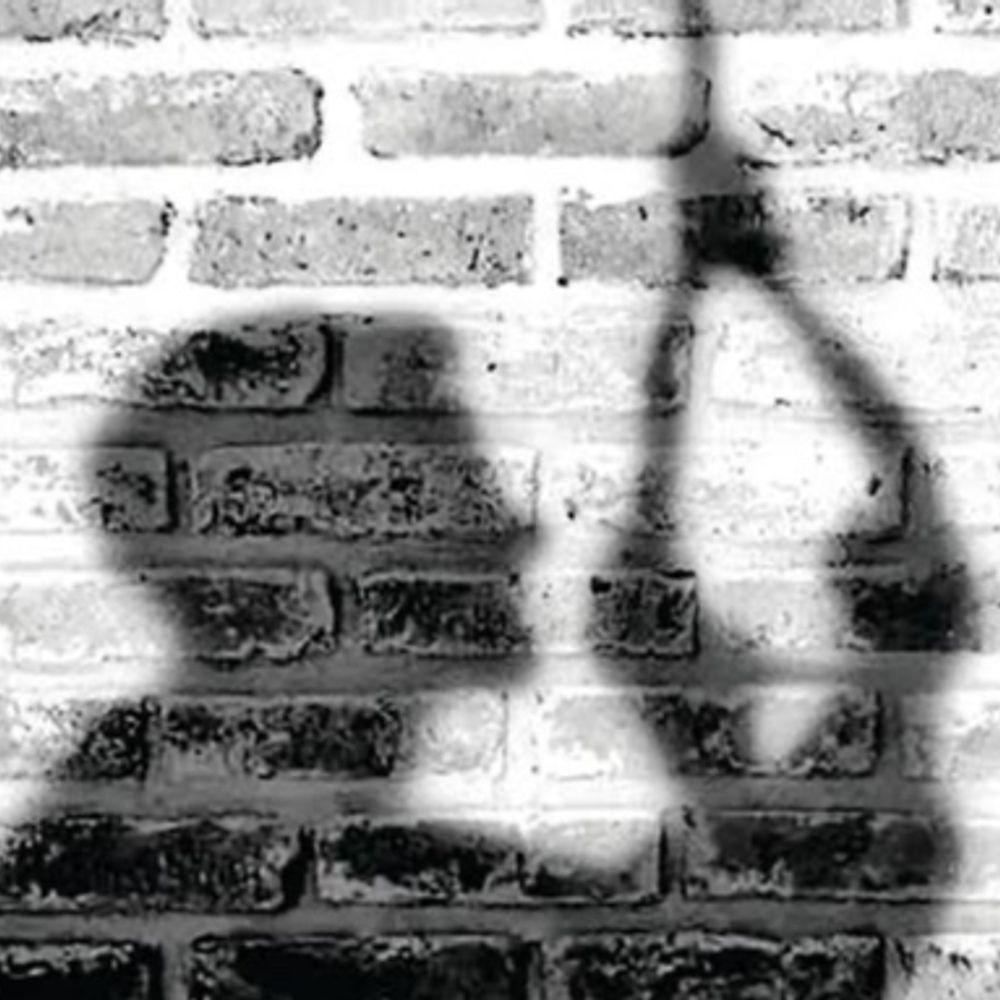 વાઘોડિયાની પ્રાઈવેટ યુનિવર્સિટીમાં ફિઝિયોથેરાપી વિધાર્થીનો આપઘાત:આત્મહત્યાનું કારણ અકબંધ, 22 વર્ષીય યુવક સુરતથી વડોદરા ફિઝિયોથેરાપી કરવા આવ્યો'તો