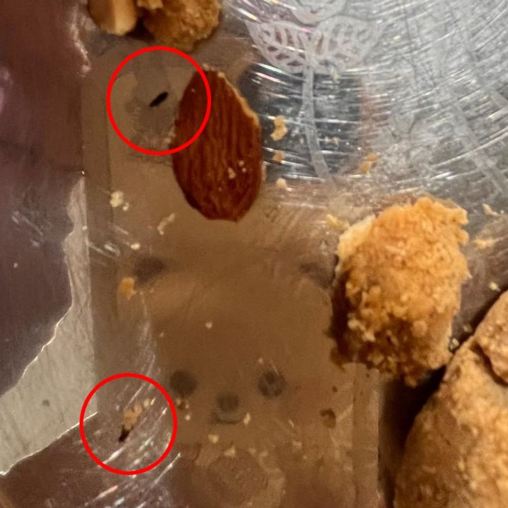 સીજી રોડ પરની બેકરીની નાનખટાઈ ખાતા જ ઉલટીઓ થઈ:BEEKEY BEKARSની નાનખટાઈમાંથી જીવાત નીકળી, ગાંધીનગરના યુવકની ફૂડ વિભાગમાં ફરિયાદ