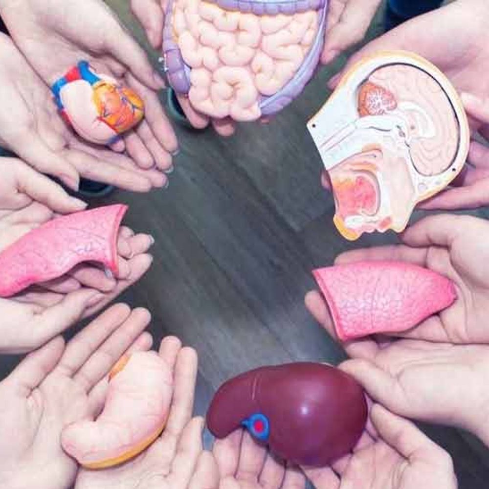 સિટી એન્કર:વિદાયમાં પણ ઉજાસ : 1912 દિવસમાં સિવિલને 1 હજાર અંગોનું દાન મળ્યું, 745 દર્દીને નવજીવન મળ્યું, દર બે દિવસે સરેરાશ 1 અંગ મળે છે