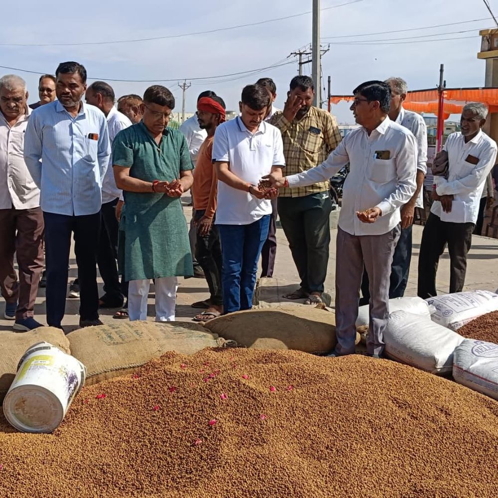 કૃષિ:હાપા યાર્ડમાં ટેકાના ભાવે ચણા અને રાયડાની ખરીદીનો પ્રારંભ