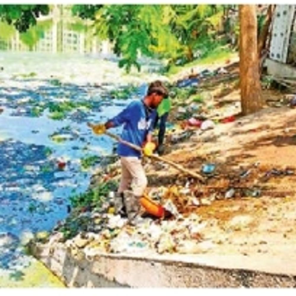 હજારો માછલીના શંકાસ્પદ મોત:દંતેશ્વર તળાવમાં હજારો માછલીના મોત,દુર્ગંધને પગલે લોકો ત્રાહિમામ