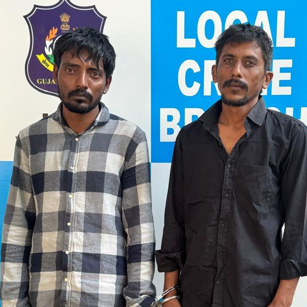 વલસાડમાં 44 લાખનો વિદેશી દારૂ પકડાયો:સોયાબીનની આડમાં દારૂની હેરાફેરી, હરિયાણાના બે શખ્સોની ધરપકડ