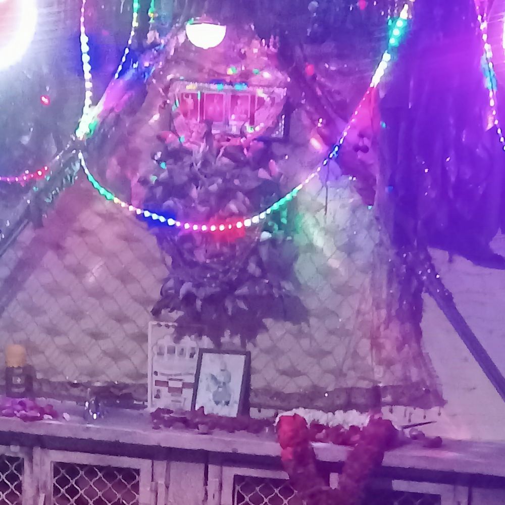 ચંદ્રુમાણામાં ઝાપડા દાદાની રમેલ યોજાઈ:વિવિધ ગામોના ભુવાજીઓએ લોકદેવીઓનું આવાહન કરી આશીર્વાદ આપ્યા