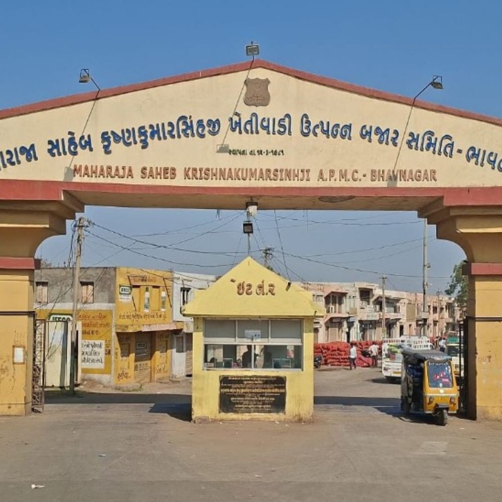 ભાવનગર માર્કેટયાર્ડમાં 6 દિવસ સુધી હરાજીનું કામકાજ બંધ રહેશે:અનાજ, કઠોળ, તેલીબીયા, કપાસ તથા ડુંગળીની જાહેર હરાજી બંધ રહેશે જ્યારે શાકભાજી વિભાગનું કામકાજ રાબેતા મુજબ ચાલુ રહેશે