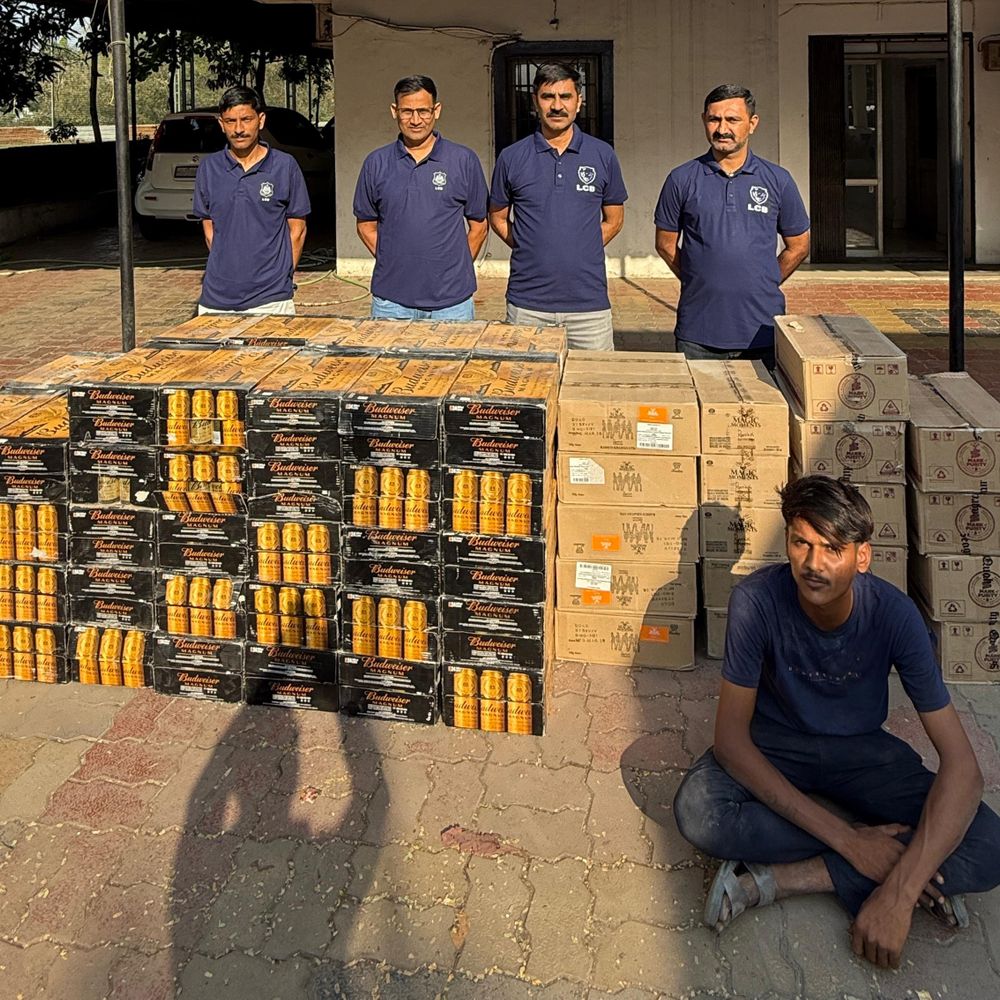 નેશનલ એક્સપ્રેસ-વે પરથી LCBએ વિદેશી દારૂ ઝડપ્યો:હલધરૂ સીમમાં ₹19 લાખથી વધુના વિદેશી દારૂ સાથે સુરેન્દ્રનગરનો ટેમ્પોચાલક ઝડપાયો