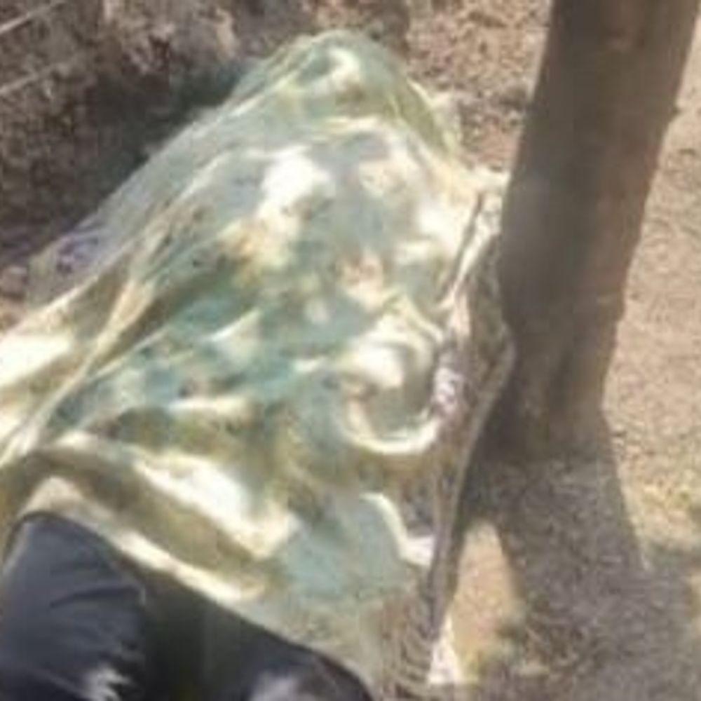 આડા સંબંધોના વિરોધમાં સસરાની હત્યા:સુરેન્દ્રનગરમાં પુત્રવધૂ સહિત ત્રણ સામે ગુનો દાખલ