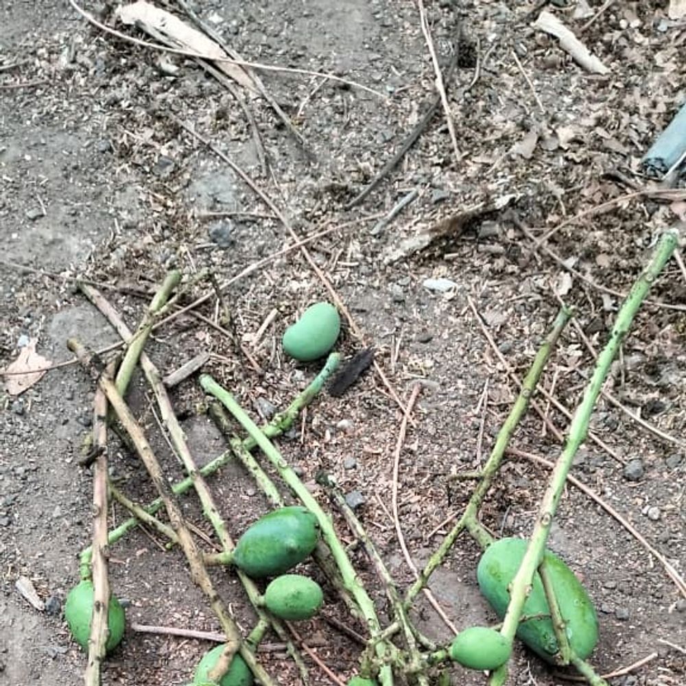 ભાસ્કર એક્સક્લુસિવ‎:વરસાદ બાદ 8 દિવસ સુધી હિટવેવનો રાઉન્ડ : વર્ષા વિજ્ઞાન મંડળના સભ્યનું પૂર્વાનુમાન, સૂર્યગ્રહણ - ચંદ્રગ્રહણપણ નહીં દેખાય