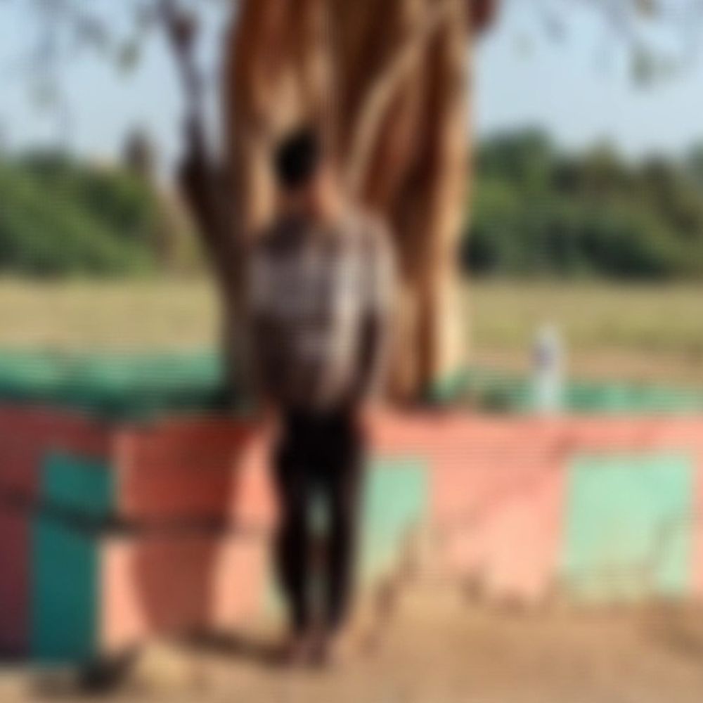 સોમનાથ સદભાવના ગ્રાઉન્ડમાં યુવાનનો આપઘાત:રાજસ્થાનના યુવકે વડલા સાથે ફાંસો ખાઈ જીવન ટૂંકાવ્યું, પોલીસ તપાસ શરૂ