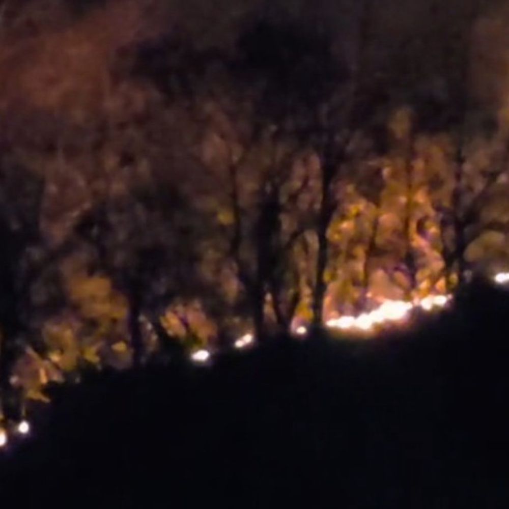 શામળાજીના જંગલમાં ભીષણ આગ!