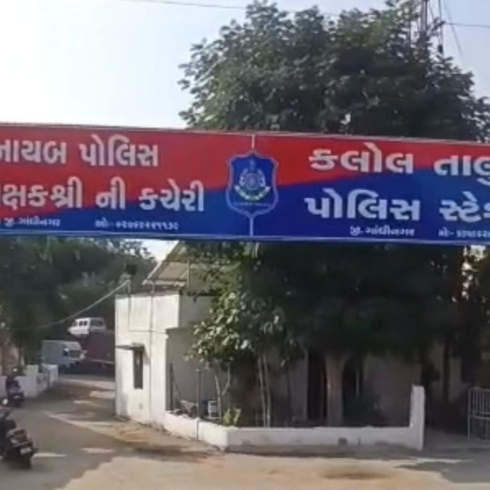 કલોલમાં પશુચોર ગેંગનો આતંક યથાવત:એક જ રાતમાં કોઠા અને મોખાસણ સીમમાંથી શંકર ગાય સહિત 4 પશુઓની ચોરી કરી પલાયન