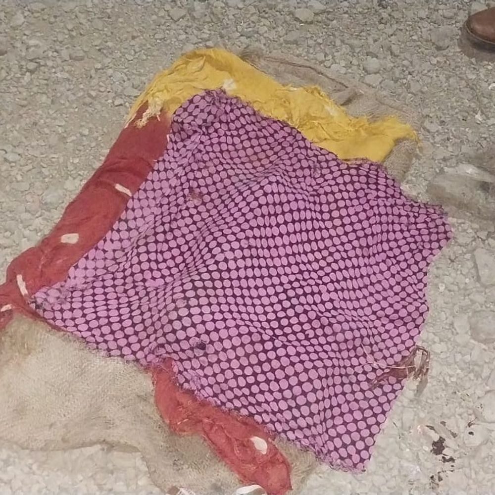 વાંકાનેરમાં ત્યજી દેવાયેલી નવજાત બાળકીને શ્વાને ફાડી ખાધી:અરણીટીંબા ગામેથી મૃતદેહ મળ્યો; પોલીસે ઘટનાસ્થળે પહોંચી તપાસ હાથ ધરી