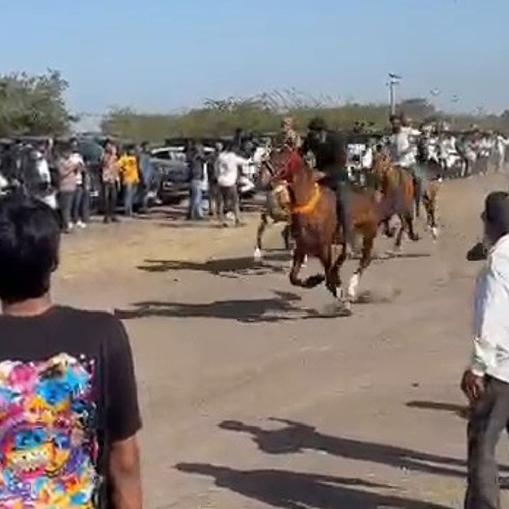 મસીતીયામાં ઘોડા રેસમાં 'જલાલી 1616' વિજેતા:હઝરત પીર કમરૂદ્દીનશાહ બાબાના ઉર્ષ નિમિત્તે પરંપરાગત આયોજન, ઊંટ ગાડીની રેસમાં અશરફ ખફીનો ઊંટ પ્રથમ ક્રમે