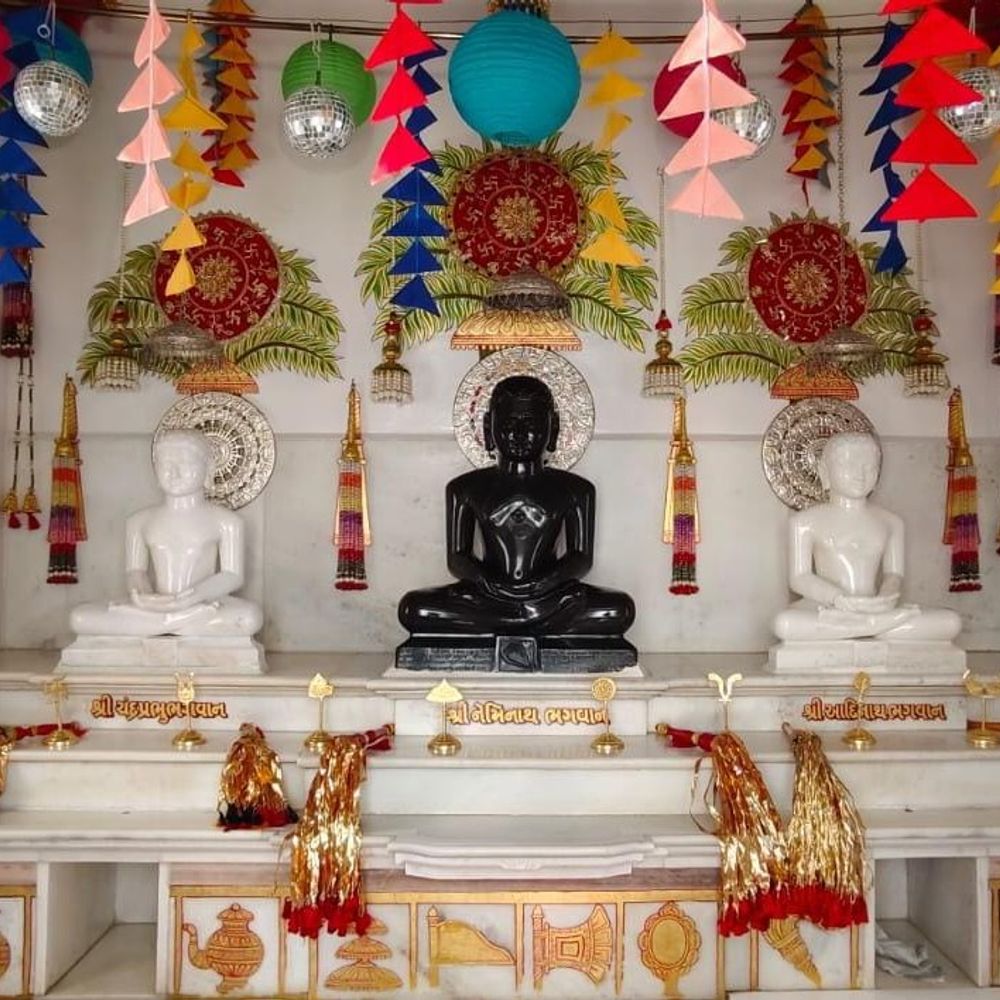 બોટાદ જિનમંદિરમાં ભગવાનની પ્રતિષ્ઠાનો 63મો વાર્ષિકોત્સવ:નેમિનાથ, આદિનાથ, ચંદ્રપ્રભુ ભગવાનની મૂર્તિઓનો સ્થાપના દિવસ ઉજવાયો