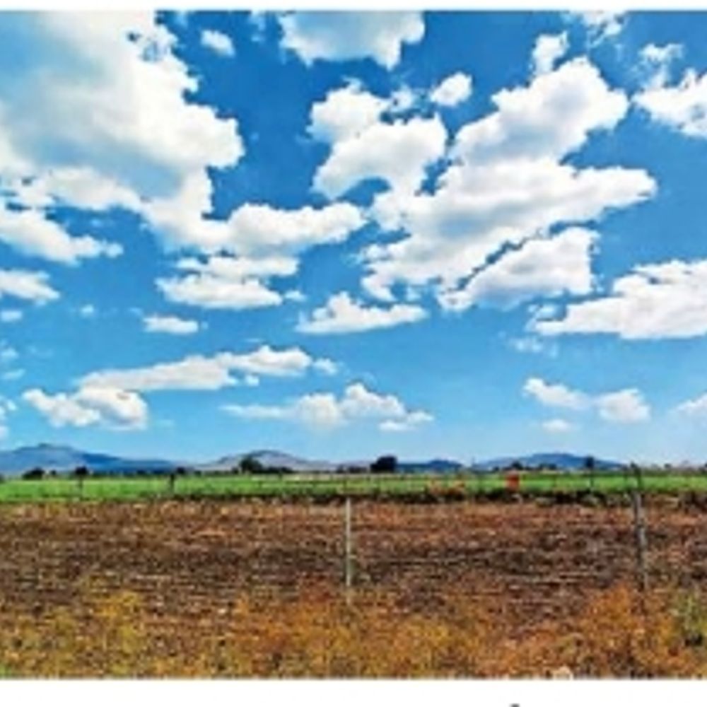 ભાવનગર વેધર રિપોર્ટ: બપોર બાદ આછા વાદળો અને 26 kmph પવન સાથે તાપમાનમાં ઘટાડો.