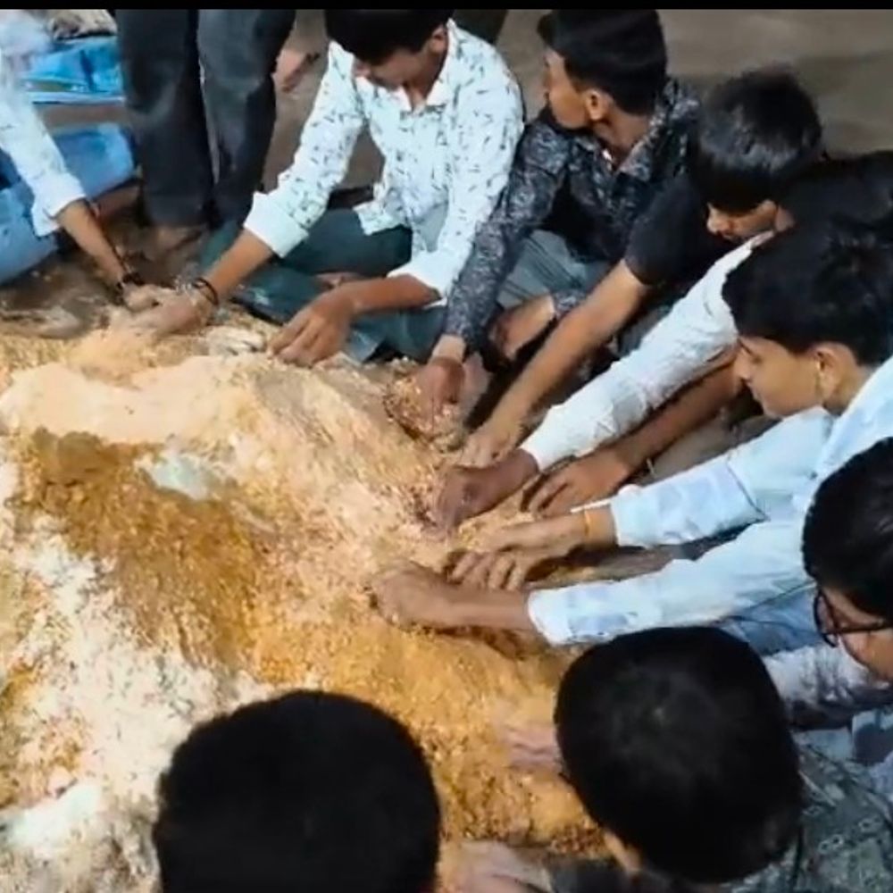 બોટાદમાં સરસ્વતી ક્લાસીસ દ્વારા 100 કિલો કિડિયારું વિતરણ:વિદ્યાર્થીઓએ અબોલ જીવો માટે અનોખી સેવા કરી