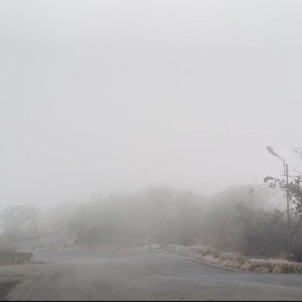 સાપુતારામાં ગાઢ ધુમ્મસથી ખુશનુમા અને આહલાદક માહોલ:અચાનક વાતાવરણમાં પલટાંથી પ્રવાસીઓ ખુશ, ખેડૂતો પાકને લઈને ચિંતિત, ઠંડા માહોલમાં ગરમીનો પારો ઉતર્યો