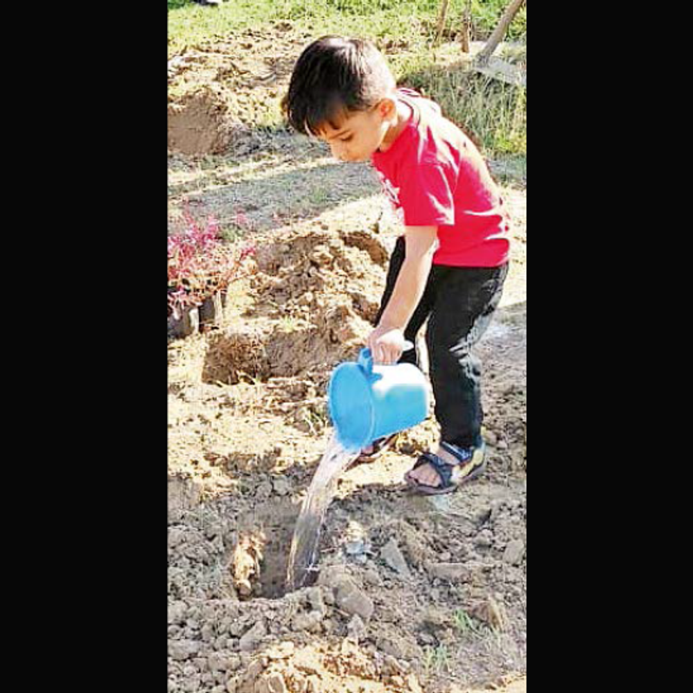 વડોદરાનાં 51 બાળકોએ 51 વડ દત્તક લીધા.