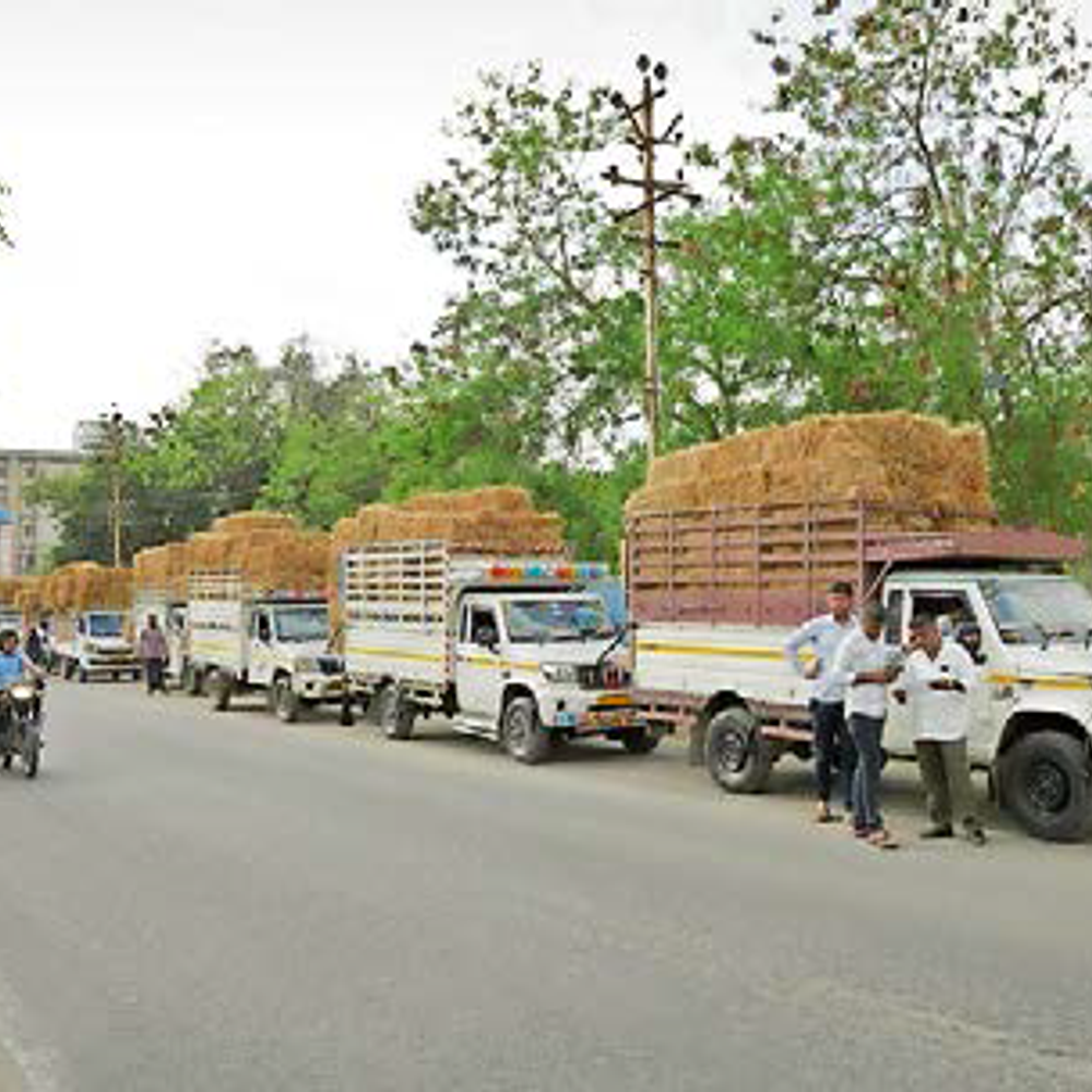 તેરા તુજકો અર્પણ ટ્રસ્ટ દ્વારા ગૌમાતા માટે 51 ગાડી ઘાસચારાનું પ્રસ્થાન: જીવદયાનો મહાયજ્ઞ.