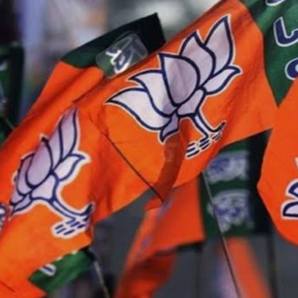 સ્થાનિક સ્વરાજ્યની ચૂંટણીનું કાઉન્ટ ડાઉન:આવતીકાલે ભાજપના નિરીક્ષકો વડોદરામાં દાવેદારોને સંભાળશે