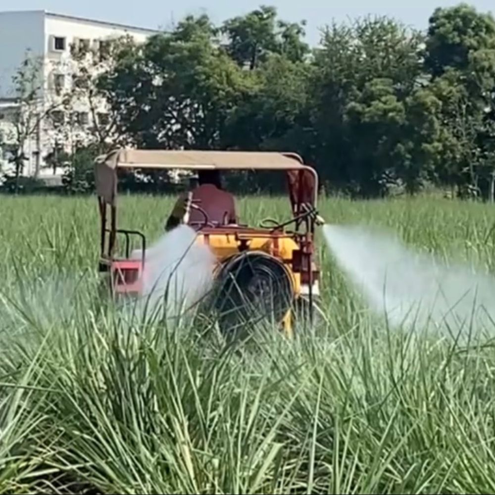 દક્ષિણ ગુજરાતના ખેડૂતો માટે આજે મહત્વપૂર્ણ દિવસ:શેરડીના ટન દીઠ ભાવ જાહેર થશે; ચૂંટણીનું વર્ષ હોવાથી પોષણક્ષમ ભાવ મળવાના ઉજળા સંજોગો