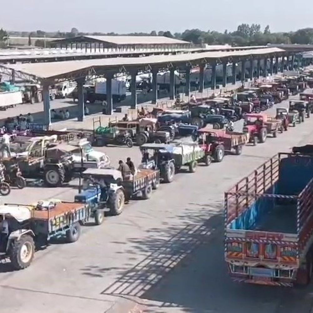 બોટાદ APMC સાત દિવસની રજા બાદ શરૂ:ખેડૂતો જણસી વેચવા ઉમટ્યા, વાહનોની લાંબી કતારો લાગી