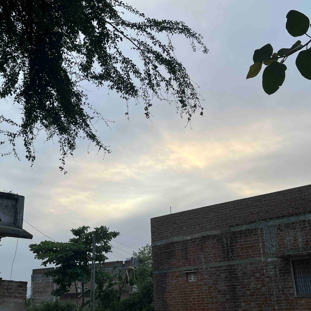 બનાસકાંઠામાં આજથી 4 એપ્રિલ સુધી કમોસમી વરસાદની આગાહી:જિલ્લા વહીવટી તંત્ર દ્વારા સાવચેતીના પગલાં લેવા અપીલ