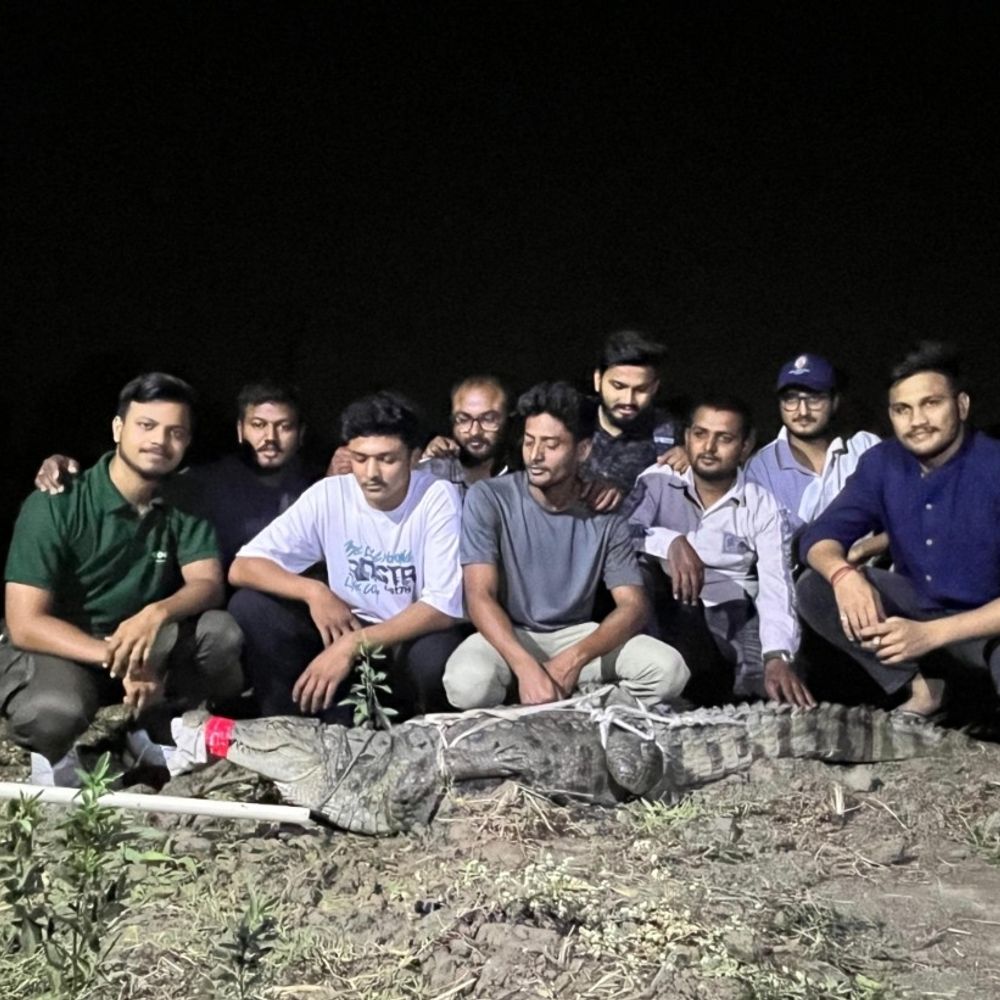 મગરનું રેસ્ક્યુ ઓપરેશન, VIDEO:વડોદરાના વિરોદ ગામમાં 5.5 ફૂટનો મગર ઘૂસી આવ્યો, ભારે જહેમત રેસ્ક્યુ કરાયો, વન વિભાગને સોંપાયો