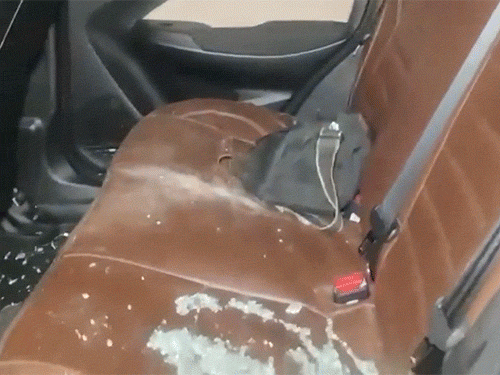 પશ્ચિમ બંગાળમાં મતદાર યાદીમાંથી નામ કપાયું, ચૂંટણી અધિકારીઓને ઘેર્યા, ગાડીઓના કાચ તોડ્યા, પોલીસે બચાવ્યા.