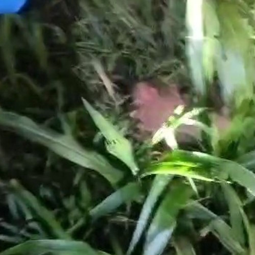 બોટાદના કાનીયાડ ગામે વાડીમાંથી નવજાત શિશુ મળ્યું:પોલીસે સારવાર અર્થે ભાવનગર હોસ્પિટલ ખસેડી, તપાસ શરૂ