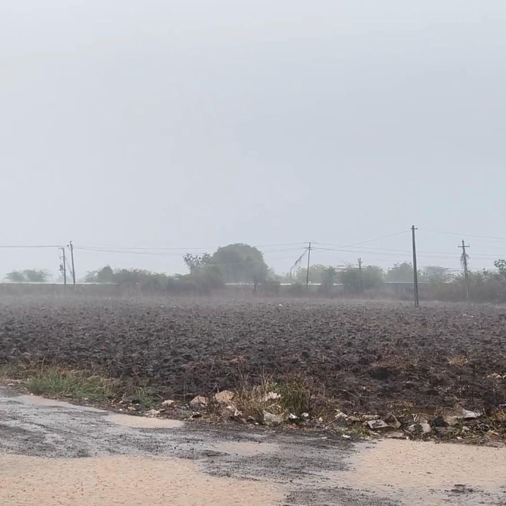 ખેડૂતોને નુકશાનની ભિતી:સલાયા પંથકમાં કમોસમી વરસાદ, માર્ગો જળબંબોળ