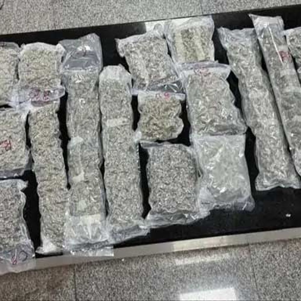 અમદાવાદ એરપોર્ટ પર 2 કરોડનો હાઈબ્રિડ ગાંજો ઝડપાયો:બેંગકોકથી 2.25 કિલો ગાંજો વેક્યુમ પેક કરી છુપાવીને લાવતા MPના બે શખ્સોની ધરપકડ